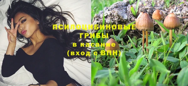 mdpv Покровск