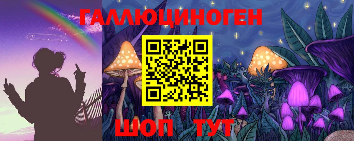 Псилоцибиновые грибы Cubensis  Белореченск 