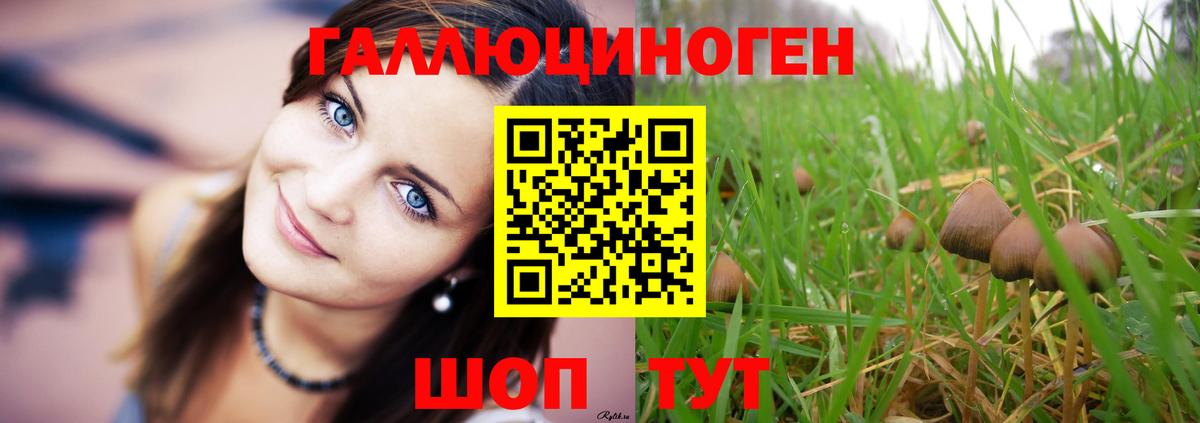 Псилоцибиновые грибы MAGIC MUSHROOMS  Галлюциногенные грибы мицелий  Вход с VPN  Белореченск 